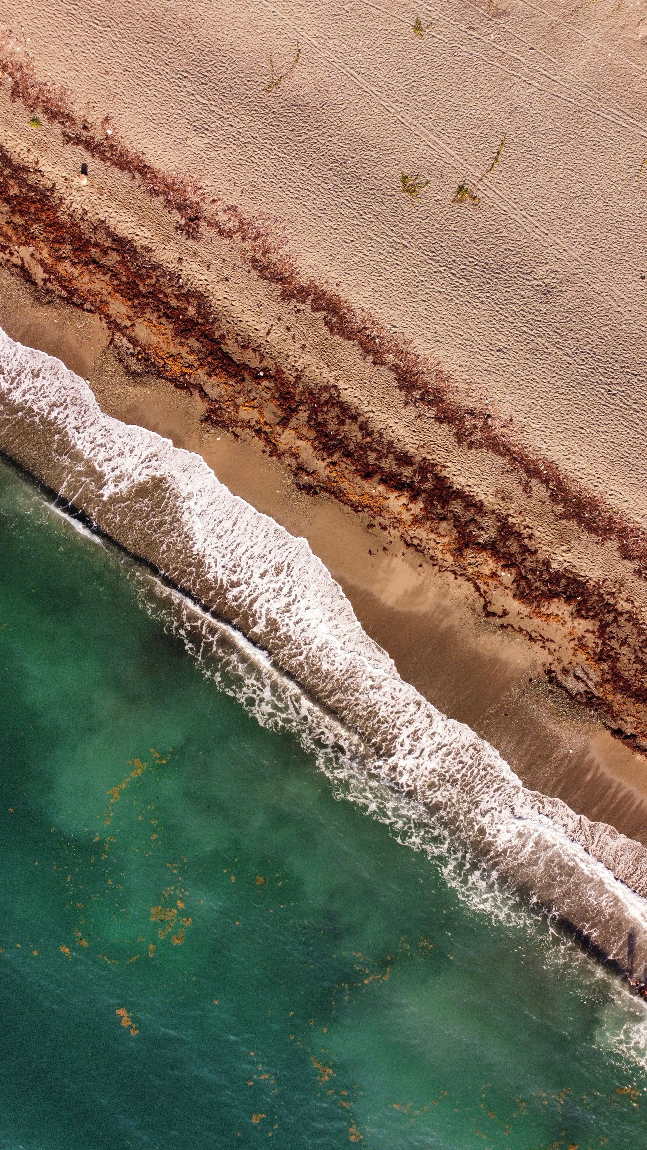 Beaches Ocho Rios in Jamaica