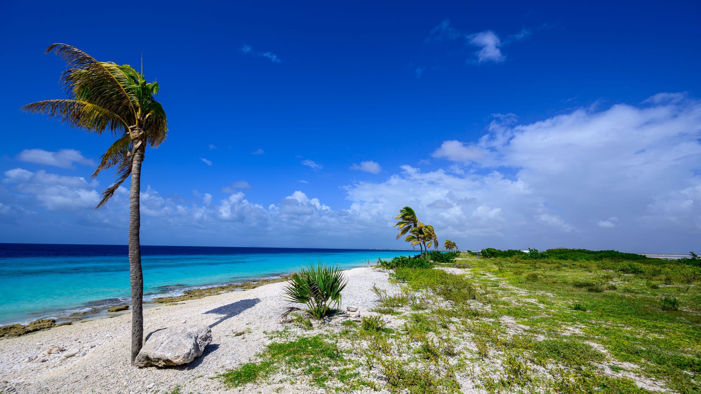 Beaches Runaway Bay in Jamaica